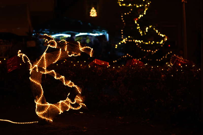 Märchenhafter Adventsmarkt Lambrecht 2018 (Foto: Holger Knecht)