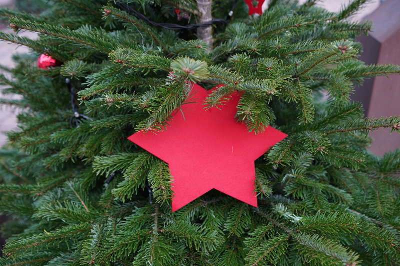 Lambrecht Weihnachtsbrunnen 2018 (Foto: Holger Knecht)