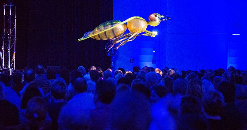 Kirchheimbolanden Varieté-Nacht (Foto: Helmut Dell)