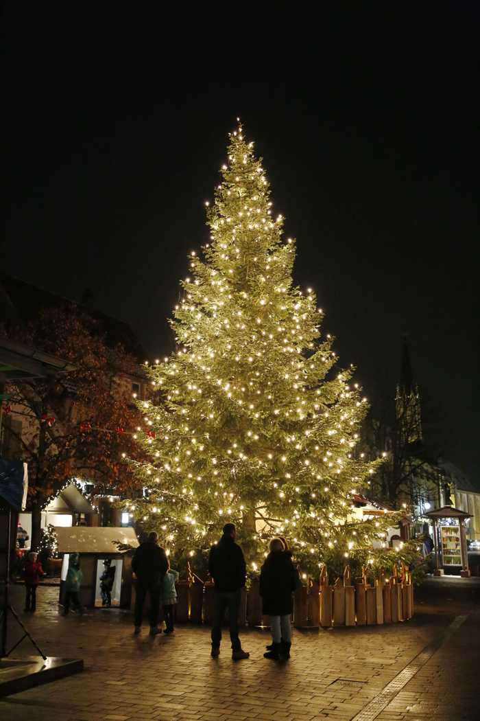 Weihnachtsbaum Quelle: Stadt Walldorf