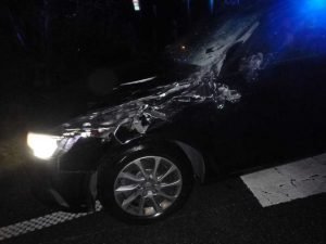Audi nach Kollision mit Anhänger erheblich beschädigt