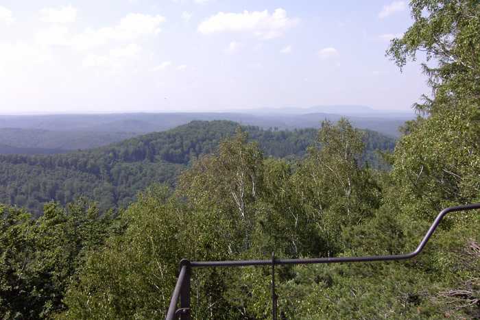 Biosphärenreservat Pfälzerwald: vor Kerosin schützen