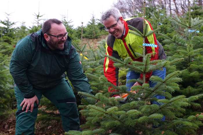 Landrat Christian Engelhardt besuchte gemeinsam mit Lukas Kohl die Weihnachtsbaumplantage, auf der Interessierte Weihnachtsbäume selbst schlagen können.