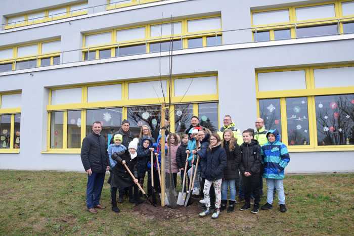 Baumpflanzaktion am Wilhelmi-Gymnasium