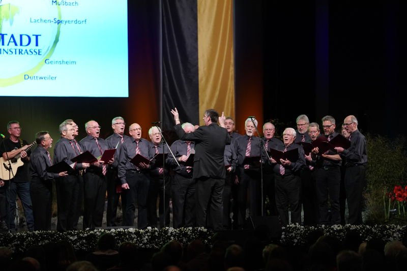 Neustadt Neujahrsempfang 2019 (Foto: Reinhard Schnell)