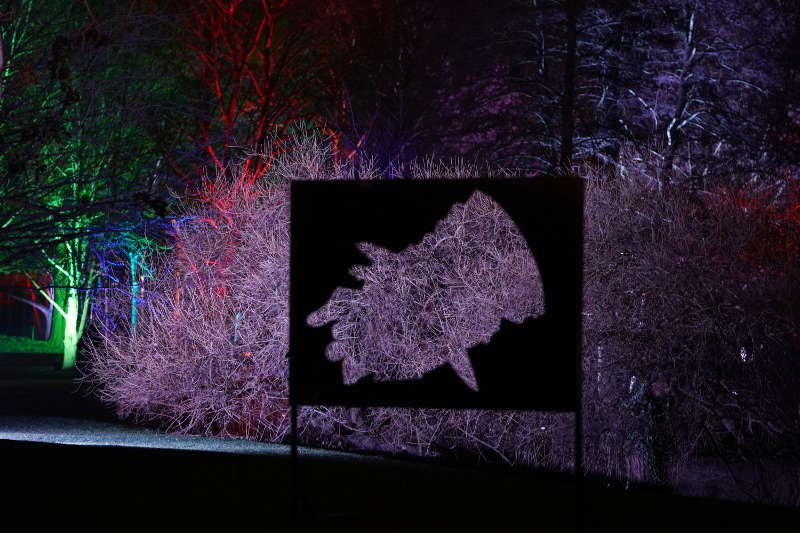 Mannheim Winterlichter 2019 (Foto: Reinhard Schnell)