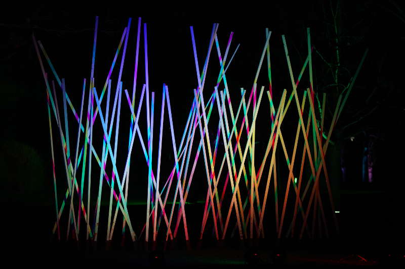 Mannheim Winterlichter 2019 (Foto: Reinhard Schnell)