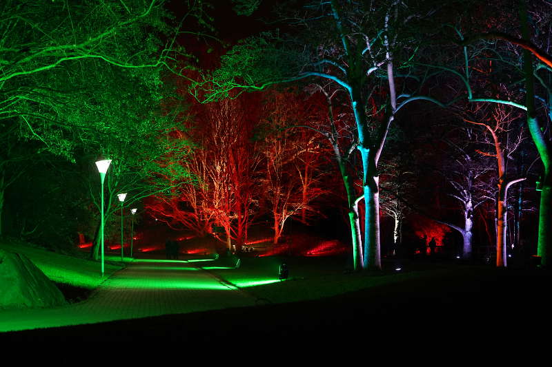 Mannheim Winterlichter 2019 (Foto: Reinhard Schnell)