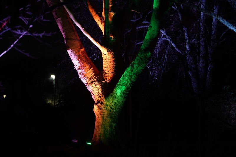 Mannheim Winterlichter 2019 (Foto: Reinhard Schnell)