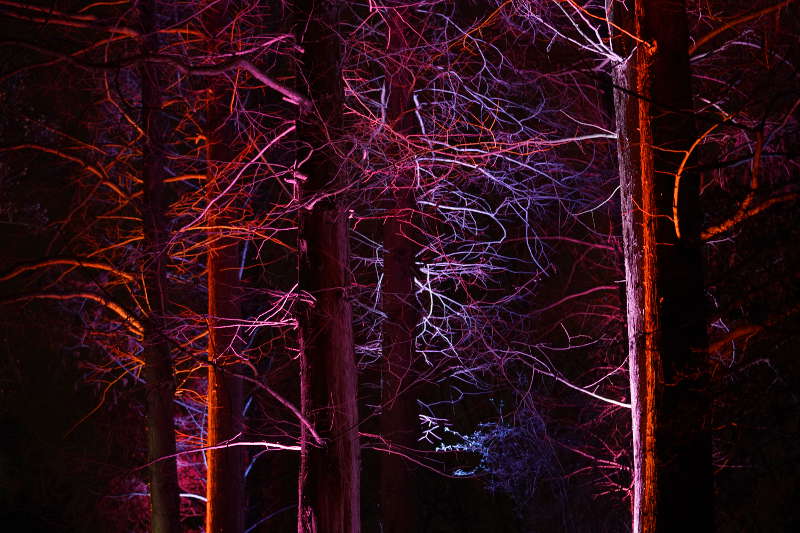 Mannheim Winterlichter 2019 (Foto: Reinhard Schnell)