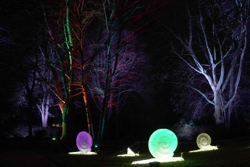 Mannheim Winterlichter 2019 (Foto: Reinhard Schnell)
