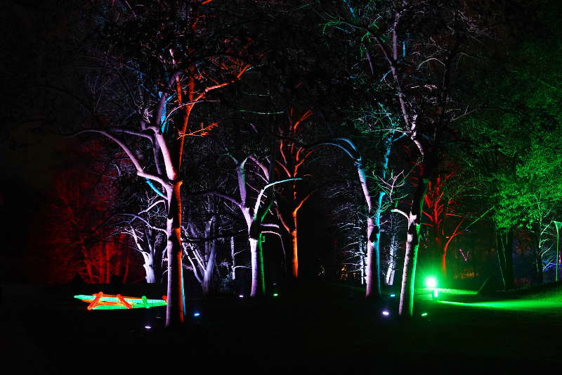 Mannheim Winterlichter 2019 (Foto: Reinhard Schnell)