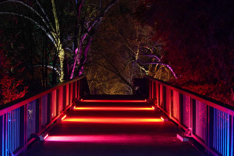 Mannheim Winterlichter 2019 (Foto: Reinhard Schnell)