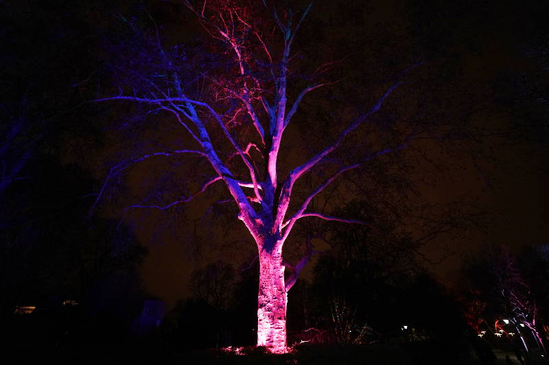 Mannheim Winterlichter 2019 (Foto: Reinhard Schnell)