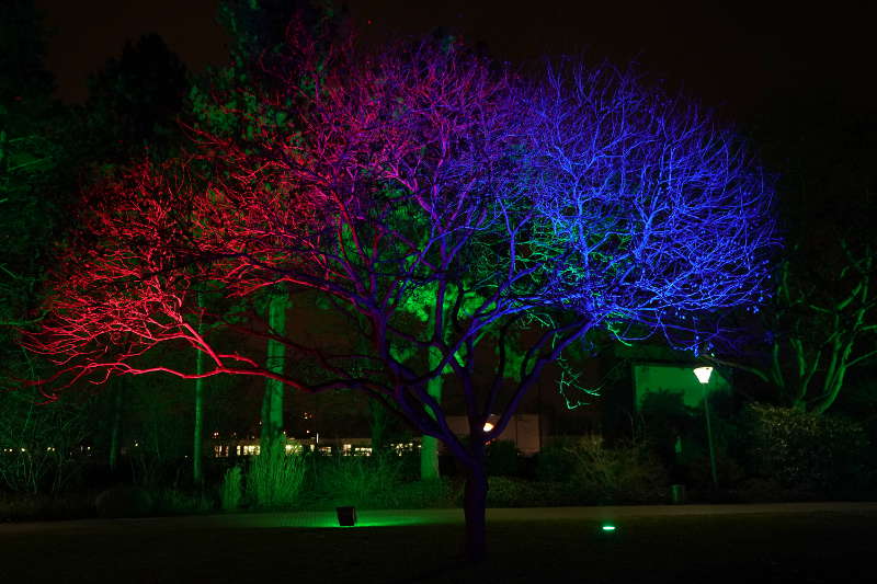 Mannheim Winterlichter 2019 (Foto: Reinhard Schnell)