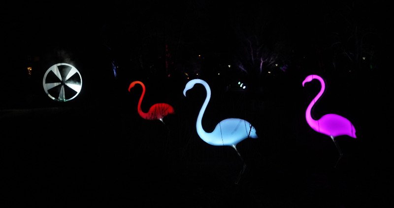 Mannheim Winterlichter 2019 (Foto: Reinhard Schnell)