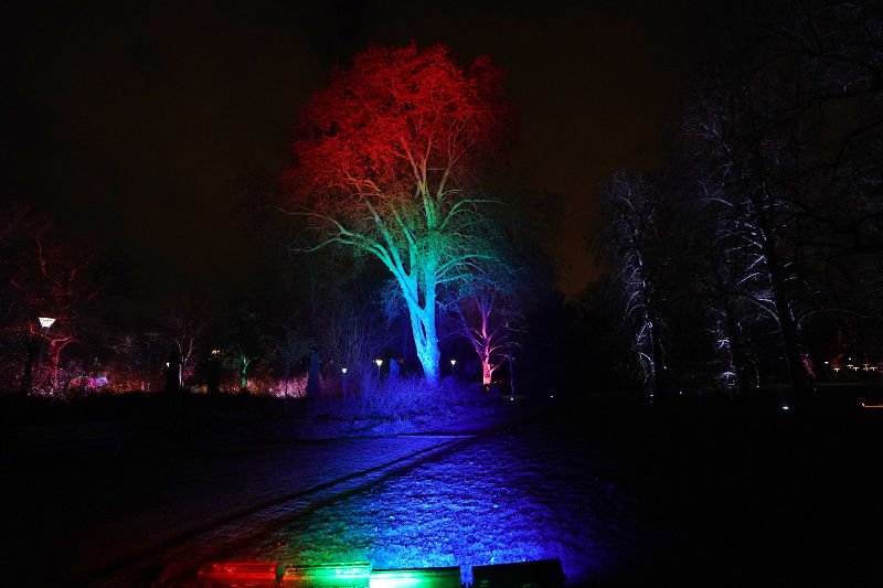 Mannheim Winterlichter 2019 (Foto: Reinhard Schnell)