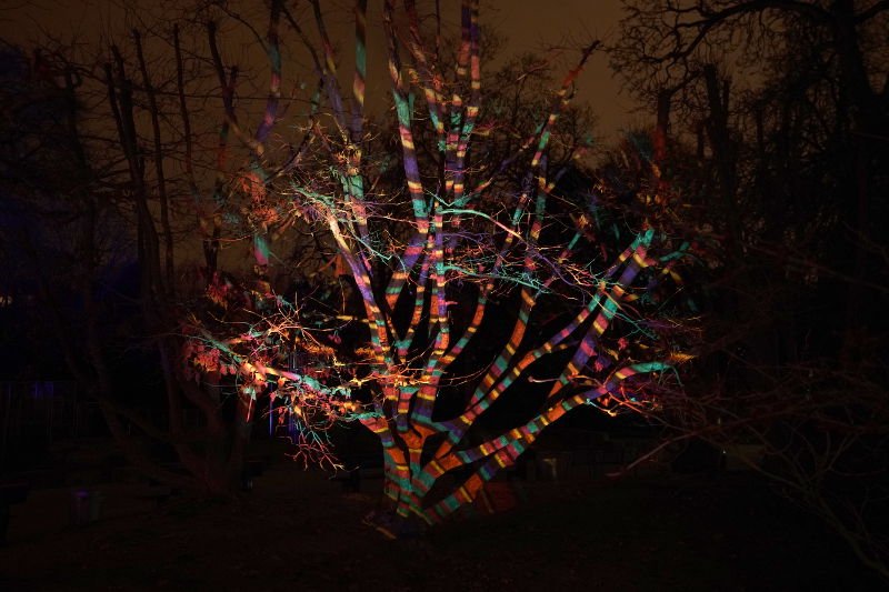 Mannheim Winterlichter 2019 (Foto: Reinhard Schnell)
