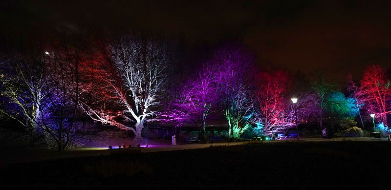Mannheim Winterlichter 2019 (Foto: Reinhard Schnell)