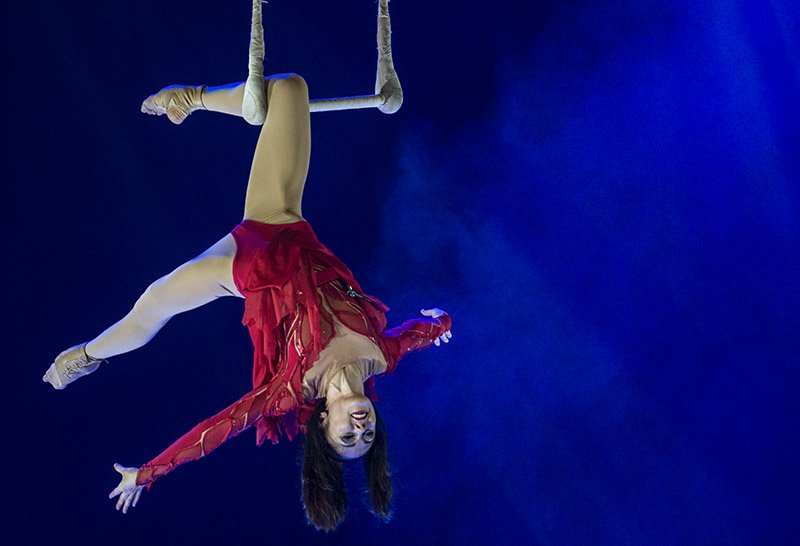 Mannheim Rosengarten Circus on Ice (Foto: Helmut Dell)