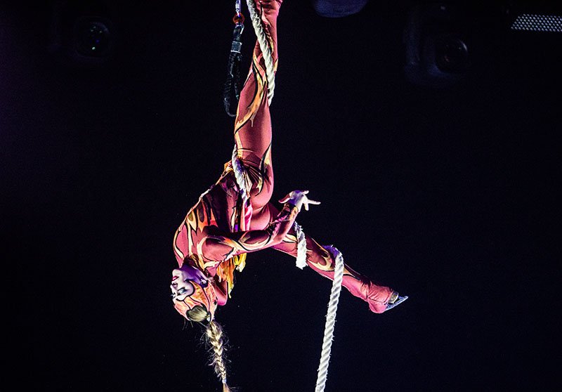 Mannheim Rosengarten Circus on Ice (Foto: Helmut Dell)