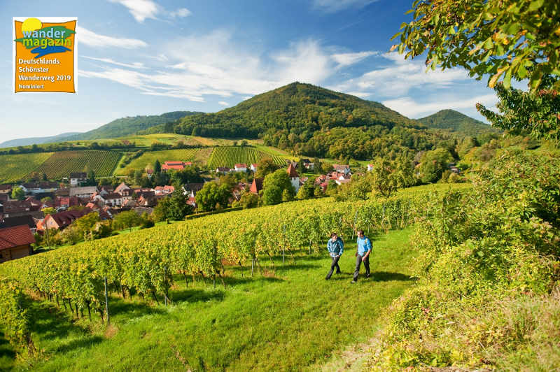 Pfälzer Weinsteig (Foto: Dominik Ketz, Pfalz.Touristik e.V.)