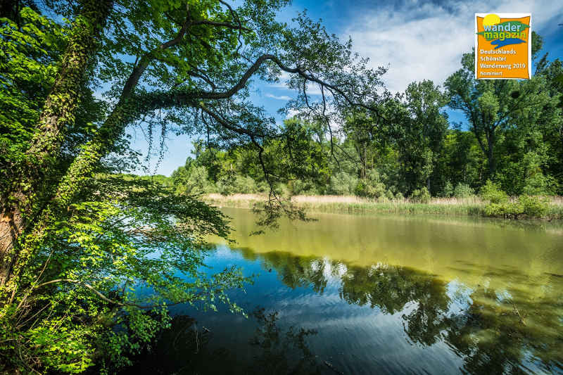 Treidlerweg (Foto: Dominik Ketz, Pfalz.Touristik e.V.)