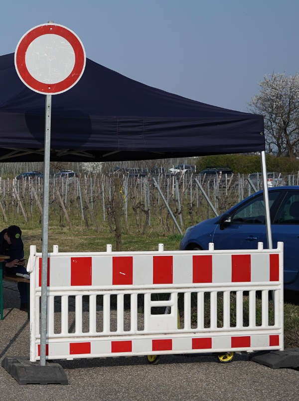 Gimmeldingen Mandelblütenfest 2019 (Foto: Reinhard Schnell)