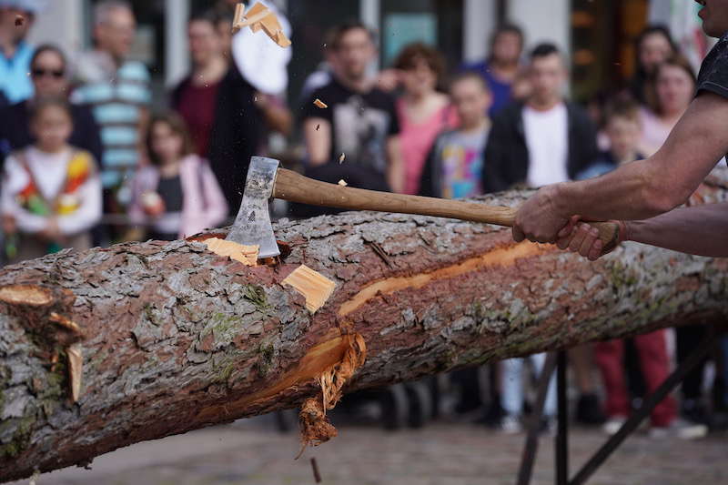 Lambrecht Sommertag 2019 (Foto: Reinhard Schnell)