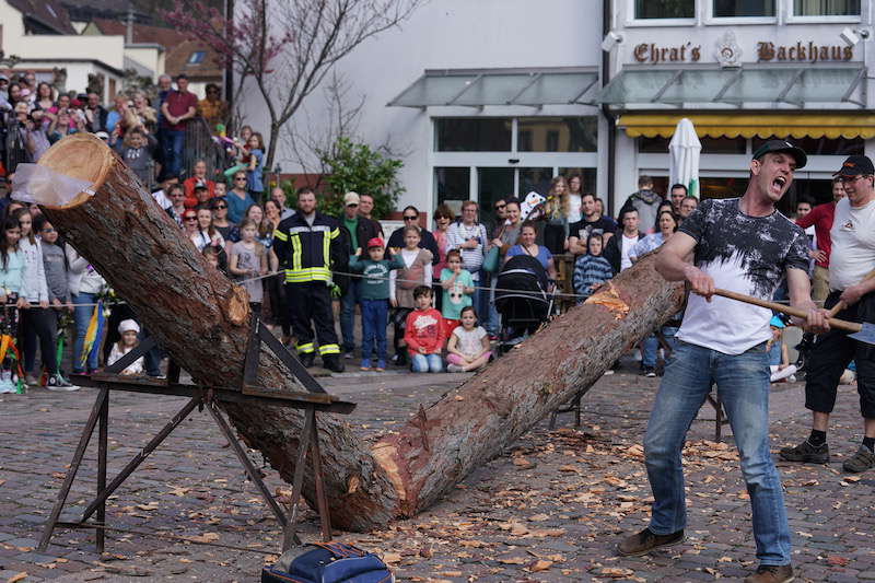 Lambrecht Sommertag 2019 (Foto: Reinhard Schnell)