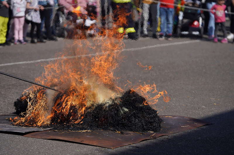 Lambrecht Sommertag 2019 (Foto: Reinhard Schnell)
