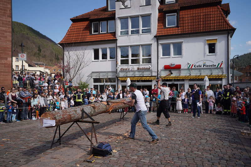 Lambrecht Sommertag 2019 (Foto: Reinhard Schnell)