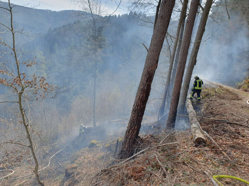 Waldbrand bei Helmbach (Foto: Presseteam der Feuerwehr VG Lambrecht)