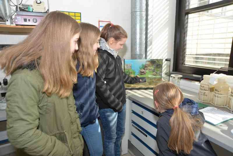 Girls‘Day an der Hochschule Rhein-Main (Foto: HS RM)