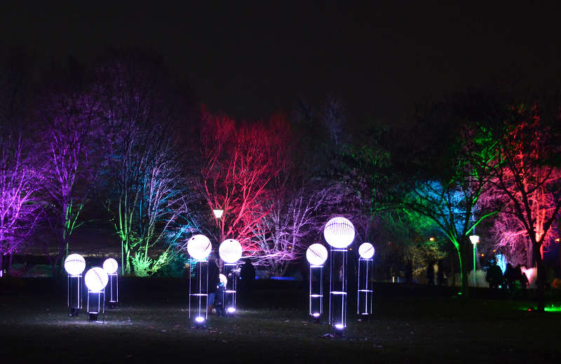 Winterlichter (Foto: Stadtpark Mannheim gGmbH)