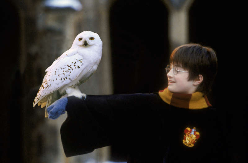 HARRY POTTER UND DER STEIN DER WEISEN IN CONCERT (Foto: Warner Bros.)