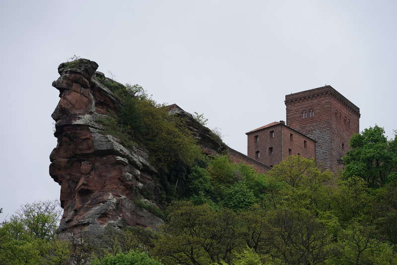 Annweiler Trifels Reichsburg (Foto: Holger Knecht)