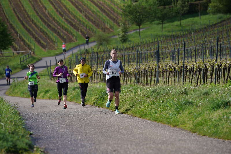 Bad Bergzabern Kurstadtlauf 2019 (Foto: Reinhard Schnell)