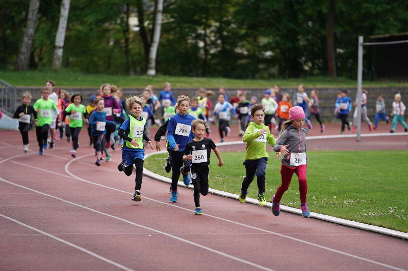 Landau 20. Energie-Südwest-Cup 2019 (Foto: Holger Knecht)