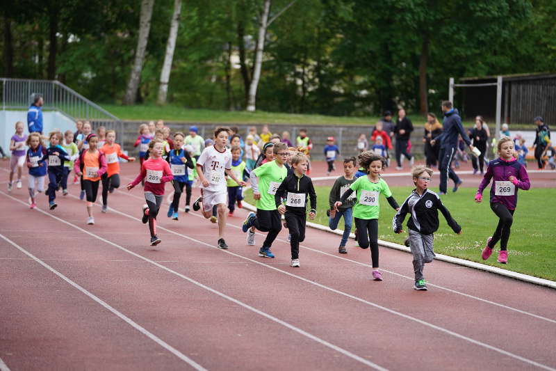 Landau 20. Energie-Südwest-Cup 2019 (Foto: Holger Knecht)