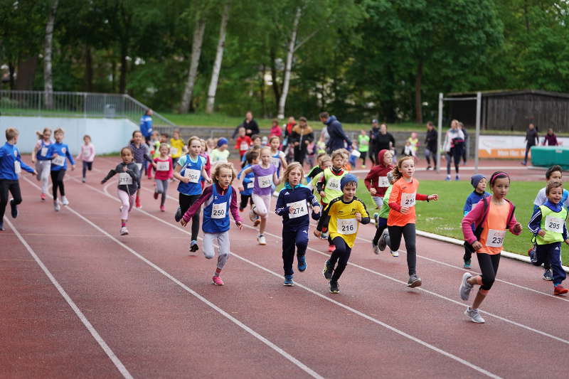 Landau 20. Energie-Südwest-Cup 2019 (Foto: Holger Knecht)