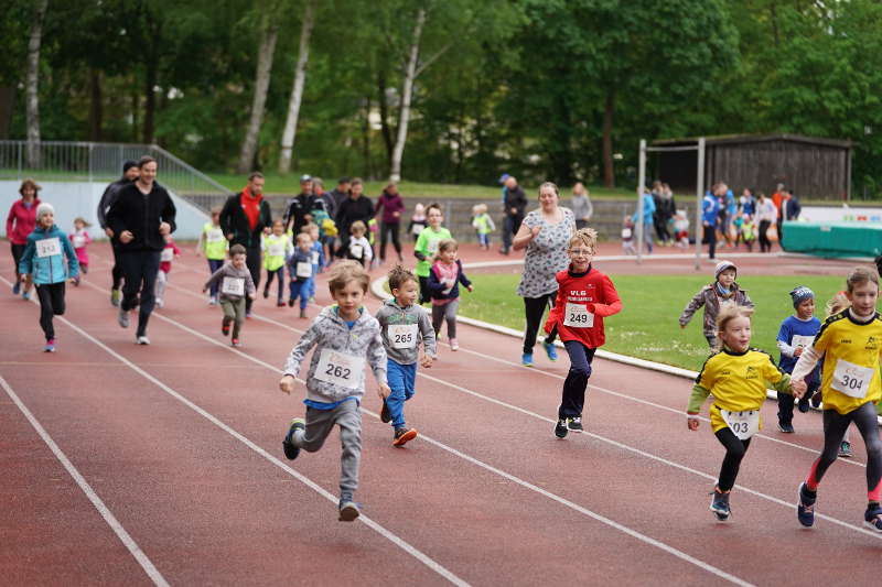 Landau 20. Energie-Südwest-Cup 2019 (Foto: Holger Knecht)