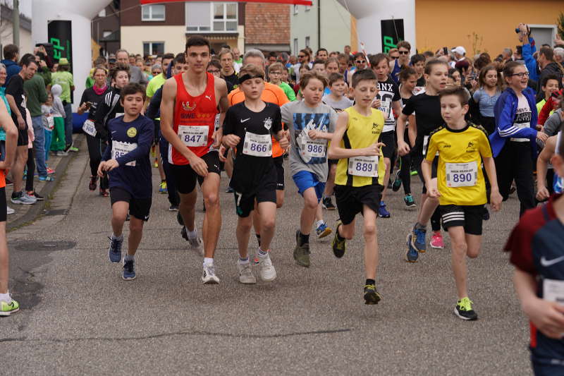 Wörth Maximiliansau Rhein-Volkslauf 2019 (Foto: Holger Knecht)