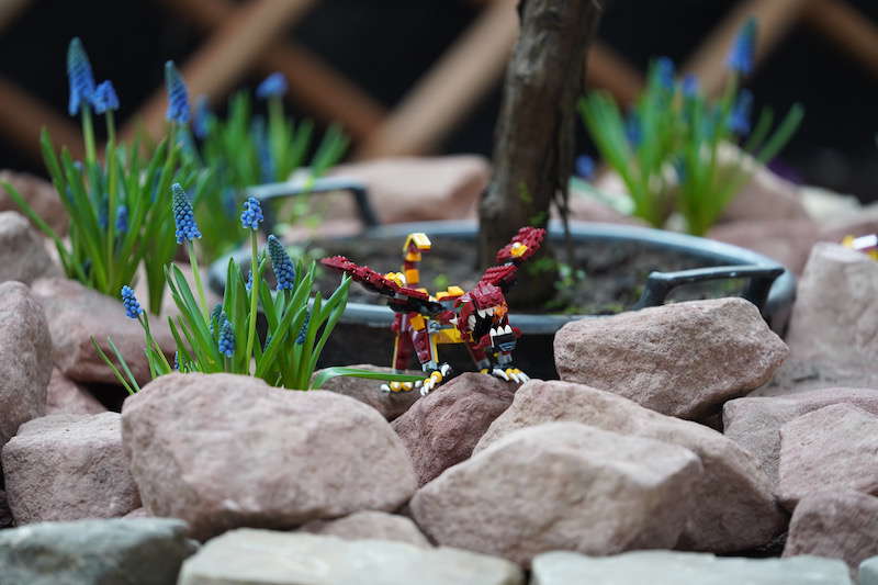 Kaiserslautern Gartenschau 2019 (Foto: Reinhard Schnell)