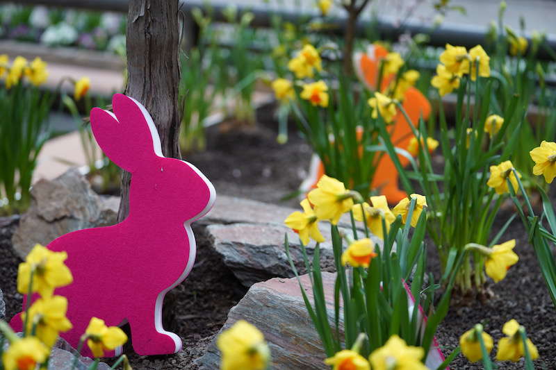 Kaiserslautern Gartenschau 2019 (Foto: Reinhard Schnell)