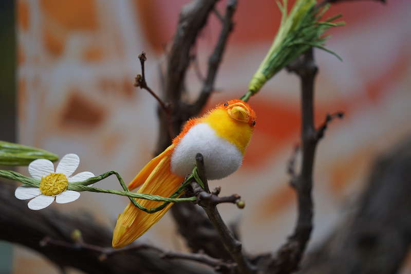 Kaiserslautern Gartenschau 2019 (Foto: Reinhard Schnell)