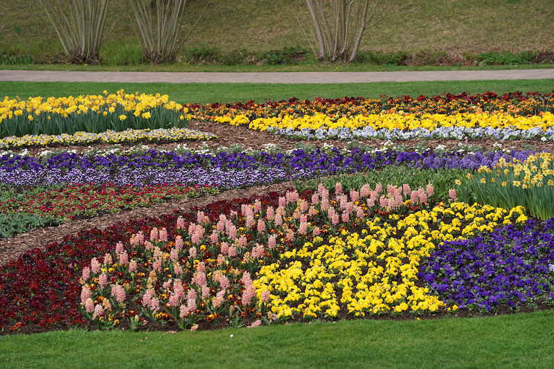 Kaiserslautern Gartenschau 2019 (Foto: Reinhard Schnell)