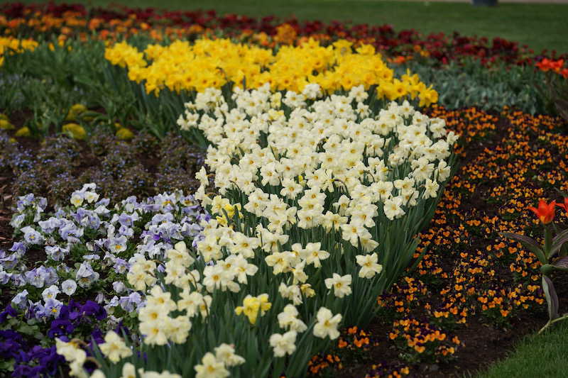 Kaiserslautern Gartenschau 2019 (Foto: Reinhard Schnell)