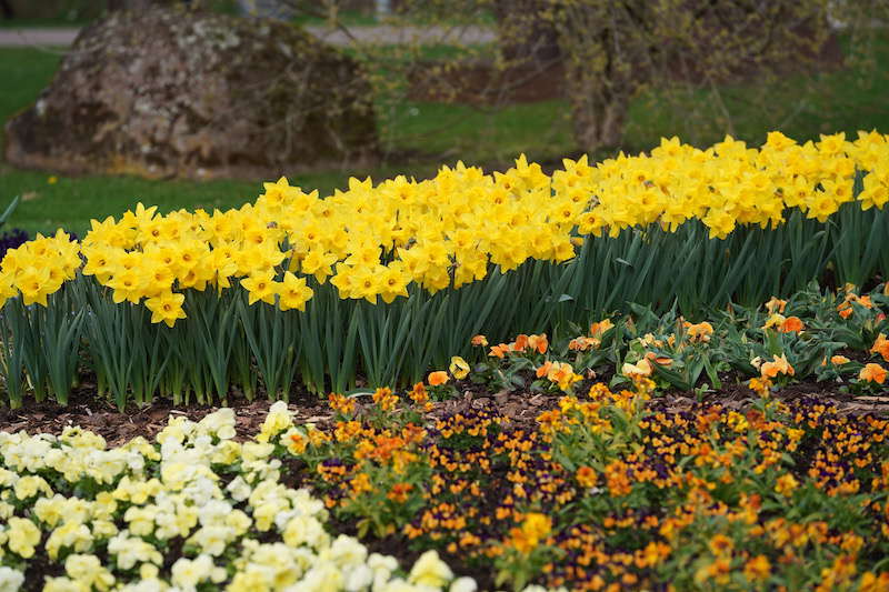 Kaiserslautern Gartenschau 2019 (Foto: Reinhard Schnell)