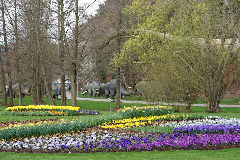 Kaiserslautern Gartenschau 2019 (Foto: Reinhard Schnell)